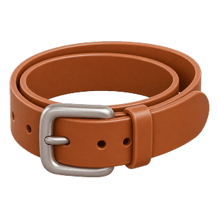Picture illustrating belt