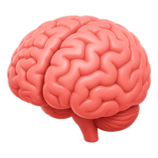 Picture illustrating brain