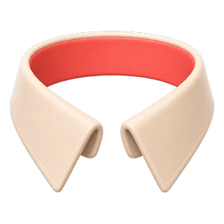 Picture illustrating collar