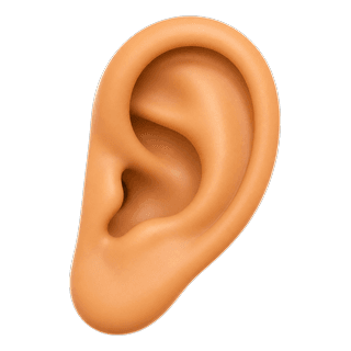 Picture illustrating ear
