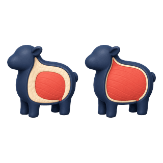 Picture illustrating fat