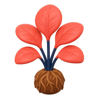 Picture illustrating plant