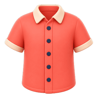 Picture illustrating shirt