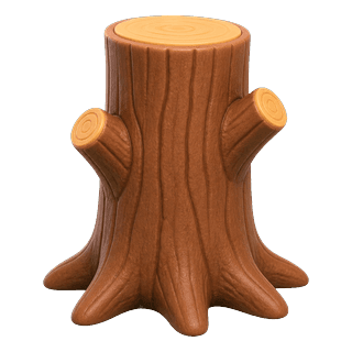 Picture illustrating trunk
