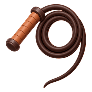 Picture illustrating whip