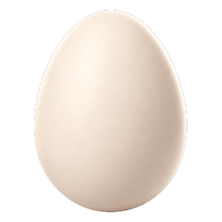 Picture illustrating egg