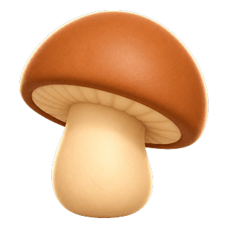 Picture illustrating mushroom