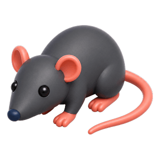 Picture illustrating rat